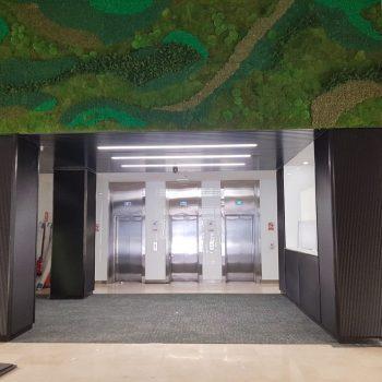 Revestimiento de Oficina en Madrid